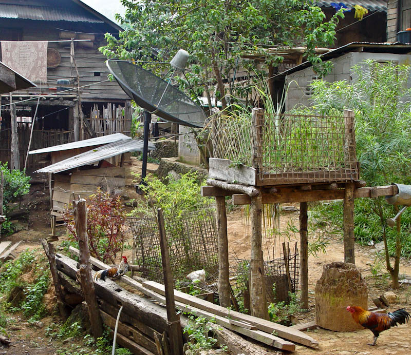 Waist high kitchen garden, Luang Namtha